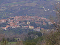 Amiata